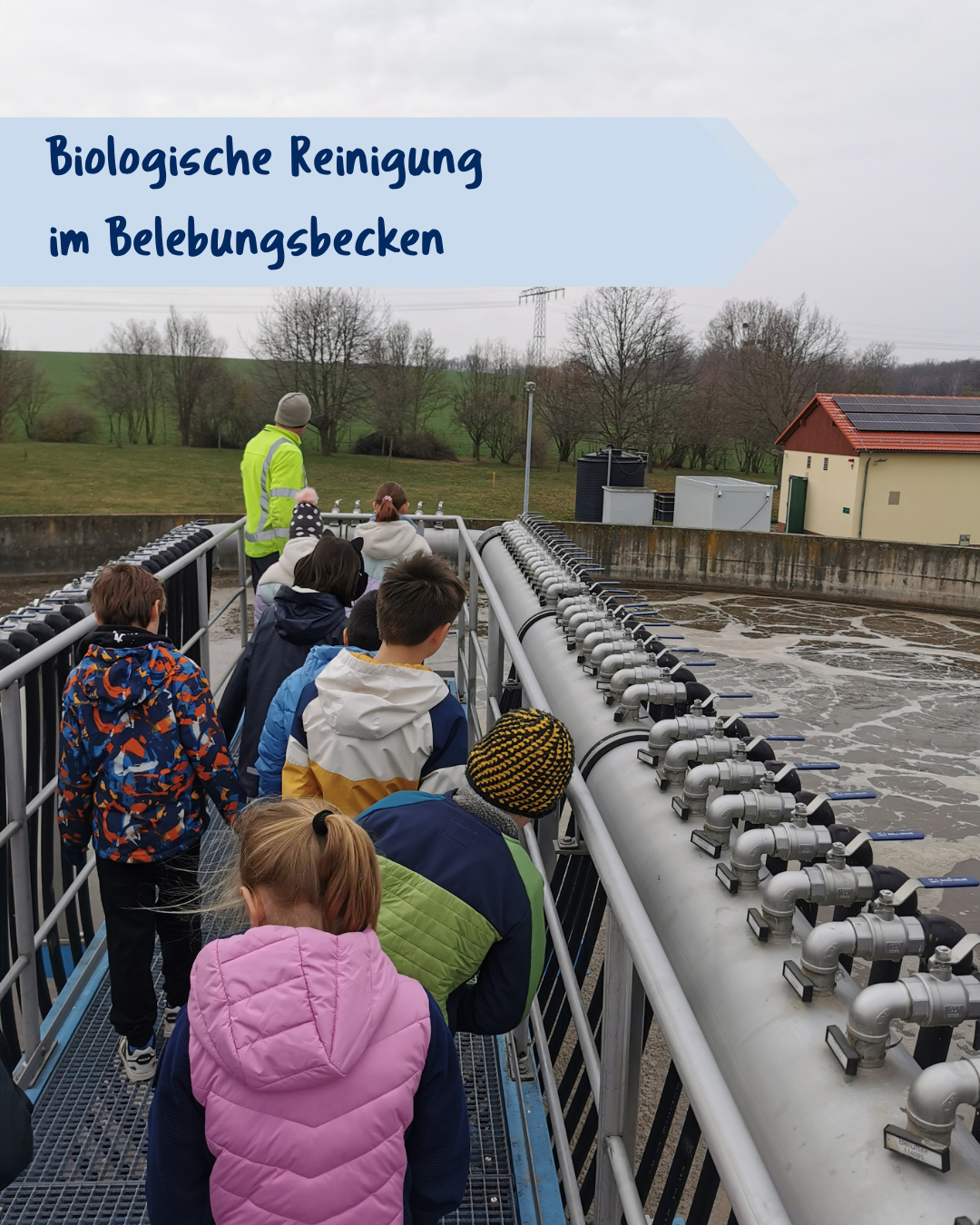 Biologische Reinigung im Belebungsbecken