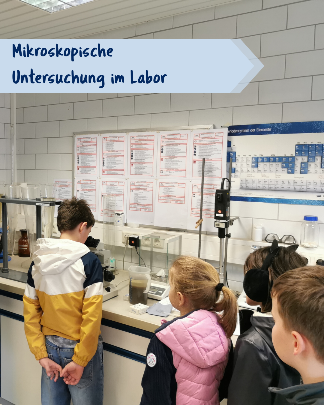 Mikroskopische Untersuchung im Labor