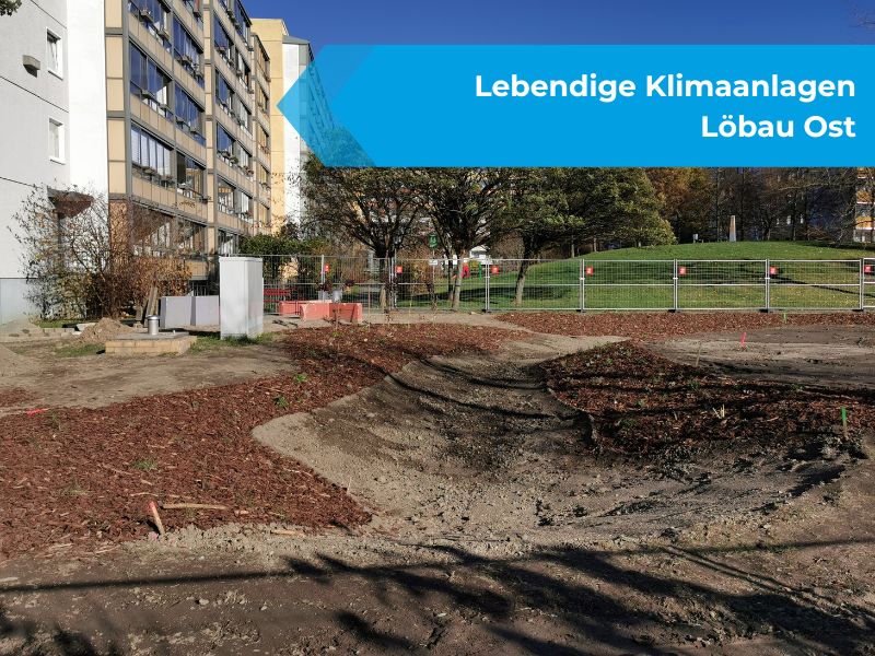 News Titelbild - Lebendige Klimaanlagen Löbau Ost